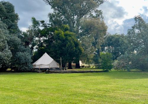 Κήπος έξω από το REFUGIO Natural Glamping