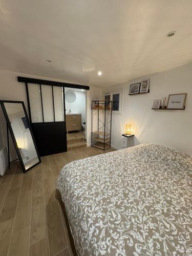 une chambre avec un lit et une pièce avec un miroir dans l'établissement Appartement cosy centre historique Avignon, à Avignon