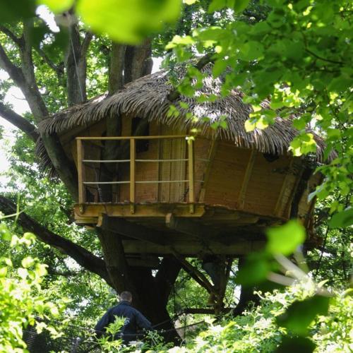 a man standing in front of a tree house at Domaine de Fontaine Châtel in Saint-Germain-des-Essourts