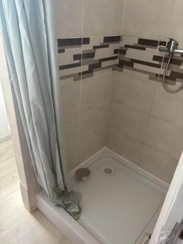une salle de bain avec une douche avec un rideau de douche dans l'établissement Appartement centre ville Chateau-Renault, à Château-Renault