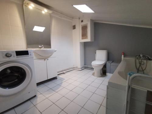 une salle de bains avec lave-linge et toilettes dans l'établissement Charmante maison atypique ambiance ville village, à Deuil-la-Barre