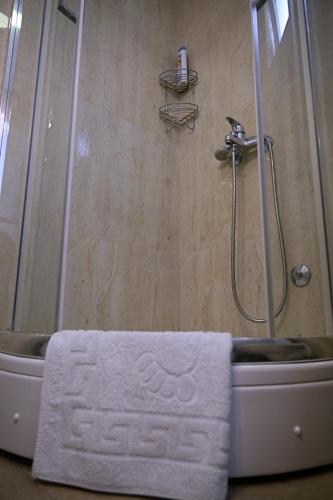 a bathroom with a shower with a white towel at Apartments Danica in Petrovac na Moru