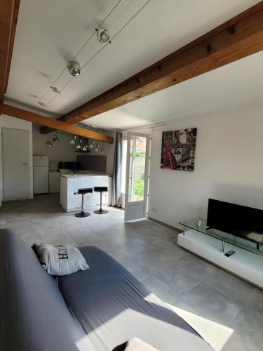 un salon avec un canapé bleu et une télévision dans l'établissement Petite maison avec jardin à 10min des plages, à Villeneuve-lès-Maguelone