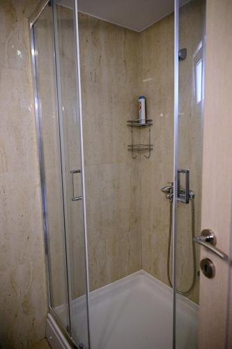 a shower with a glass door in a bathroom at Apartments Danica in Petrovac na Moru
