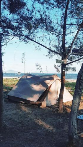 a tent that is sitting next to a tree at Út Ngọc Camping in Can Gio