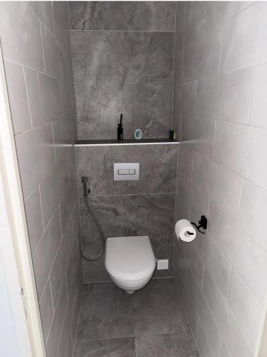 une petite salle de bain avec toilettes et douche dans l'établissement T3 refait à neuf calme et fonctionnel, à La Celle-sous-Gouzon