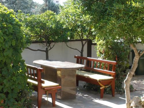 two benches and a table and two trees at Villa Pagar - with jacuzzi - Renovated in 2022 in Povljana