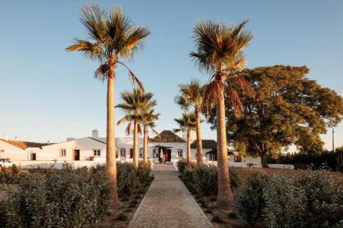 a pathway with palm trees in front of a house at Quinta do Pinheiro in Pinheiro