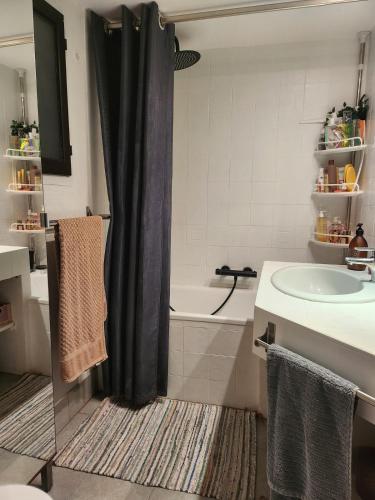 une salle de bain avec un rideau de douche et un lavabo dans l'établissement Malmousque Family House, à Marseille
