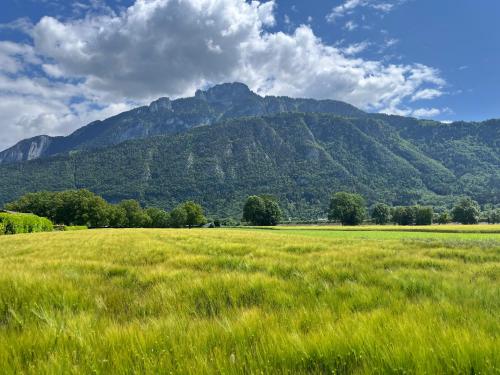 un champ d’herbe avec une montagne en arrière-plan dans l'établissement Annecy Genève Rochexpo & Vintage car, à Bonneville