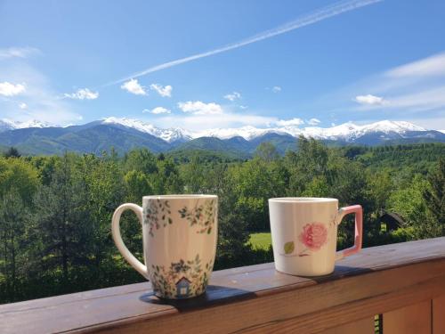 two coffee mugs sitting on a balcony with mountains at Pensiunea Petra Verde in Porumbacu de Sus