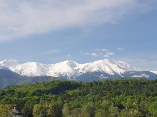 a mountain range with snow capped mountains in the distance at Pensiunea Petra Verde in Porumbacu de Sus