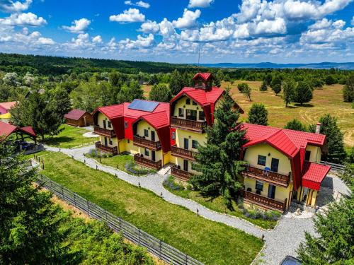 an aerial view of a large house with red roofs at Pensiunea Petra Verde in Porumbacu de Sus