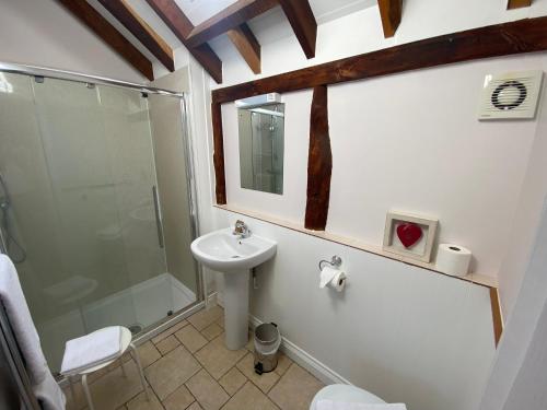 a bathroom with a sink and a shower and a toilet at Oak Apple in Plaitford