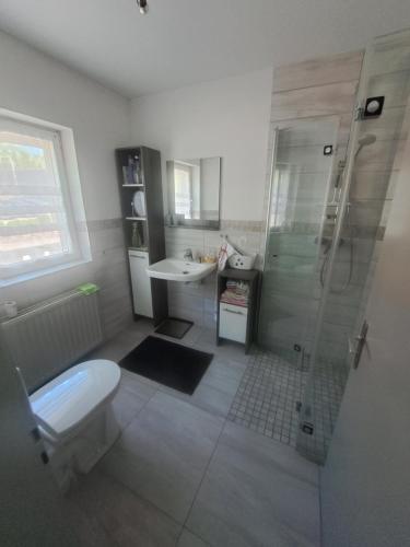 a bathroom with a shower and a toilet and a sink at Ferienhaus bayerische Rhön in Ostheim