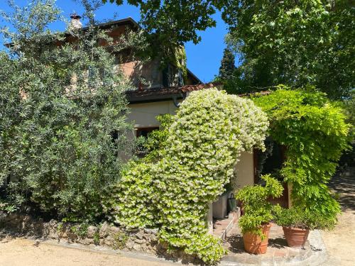 Gallery image of EXCEPTIONNEL, maison de vacances dans parc, climatisation, parking, calme assuré in Marseille