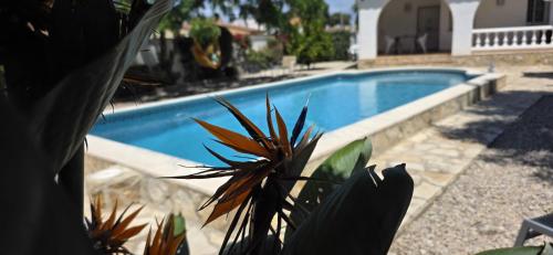 Riumar "Cologne", 300m to beach, private pool, On-Site-Service, dog beach