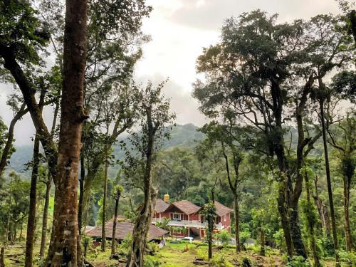 a house in the middle of the forest at Aindra Coorg By Dazzle Destinations - Water Activities and Private Rooms in Subrahmanya