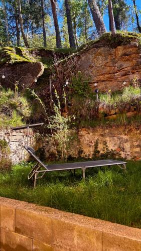 a metal object sitting in the grass next to a rock at Remote Work Friendly Zahradní apartmán u jezera in Staré Splavy