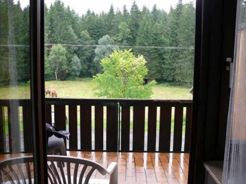 a balcony with a view of a horse in a field at Landgasthaus Backhof-Helmle in Breitnau