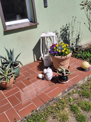 Κήπος έξω από το Wohnung Waltraud