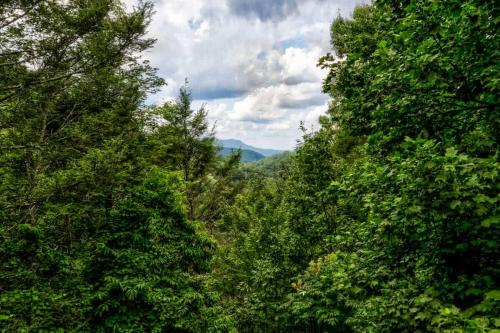 Nice View Fireplace, Hot Tub, Porch Bed, Private photo 4