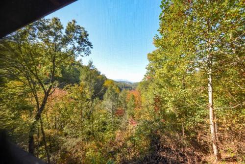 Nice View Fireplace, Hot Tub, Porch Bed, Private photo 43