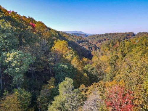 Nice View Fireplace, Hot Tub, Porch Bed, Private photo 48