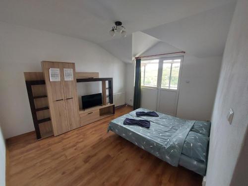 a bedroom with a bed and a television in it at Varipatti House in Slatina