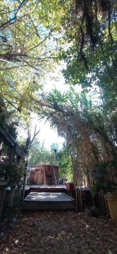 a view of a playground in a forest with trees at Cabaña Refugio campestre in Rinconada de Silva