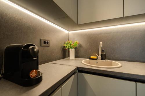 a kitchen with a sink and a coffee maker at Blvd Ivory Pipera ap 9b7 in Bucharest