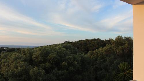 a view of a hill with trees and the ocean at Constantin in Dhémbla