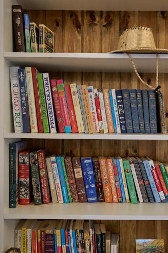 a book shelf filled with lots of books at Villa Vermont Qusar in Qusar