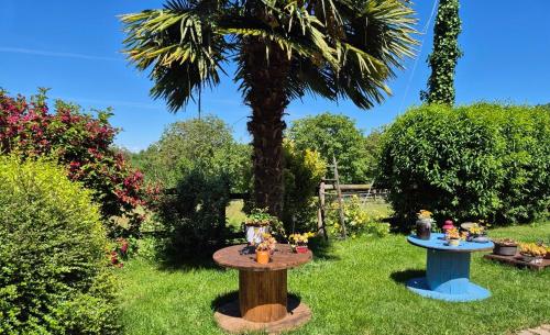 a garden with two tables and a palm tree at B&B Alla Borgata in Boves