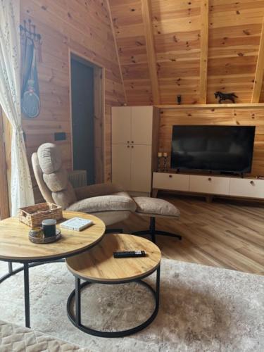 un salon avec un canapé et une télévision dans l'établissement Pine Retreat, à Žabljak