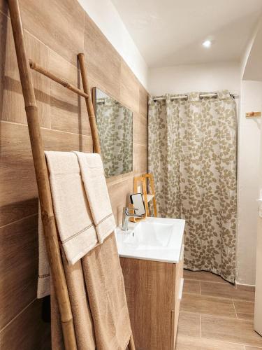 une salle de bain avec un lavabo et une douche dans l'établissement Cosy Cœur Alpilles, T2 neuf, à Aureille