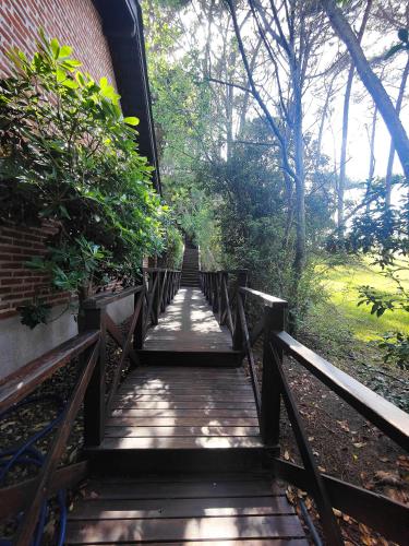 Κήπος έξω από το La Estación Cariló