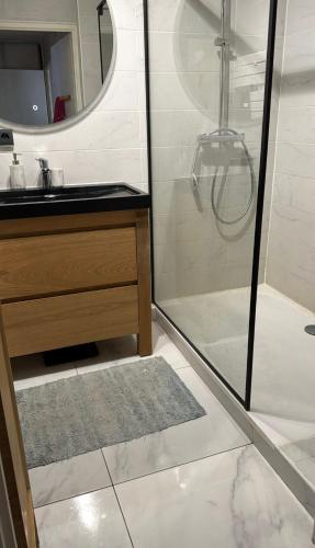 une salle de bain avec une douche, un lavabo et un miroir dans l'établissement Appartement Cosy, à Fresnes