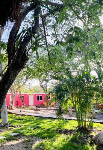 a red building with a palm tree in a park at Club Cenotes Tulum in Balcheil