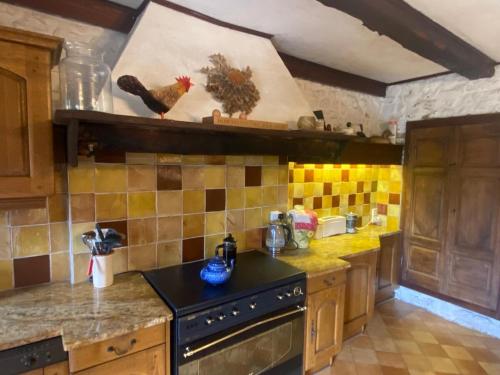 une cuisine avec une cuisinière et un poulet sur le comptoir dans l'établissement Dourbias, Rural home in stunning setting, à Nant