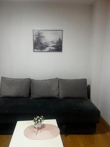 Un sofá negro en una sala de estar con una mesa. en PRVA apart, en Bukorovac
