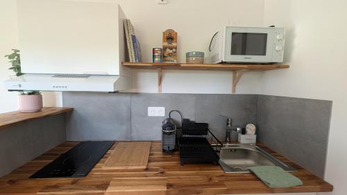 a kitchen with a sink and a microwave at Appartement cosy avec jardin in Meauzac