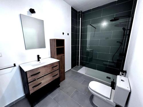 a bathroom with a toilet and a sink and a shower at La estación in Villafranca del Bierzo