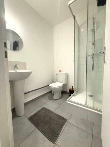 une salle de bain avec un lavabo, des toilettes et une douche dans l'établissement M28 Marquer joli appartement proche de la gare et du centre ville, à Annemasse
