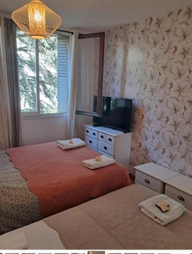 - une chambre avec 2 lits, une télévision et une fenêtre dans l'établissement Idéale pour vos vacances 3 pièces avec terrasse et stationnement, à Nice