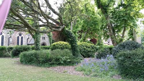 a garden in front of a church with a tree at The Wycliffe in Folkestone
