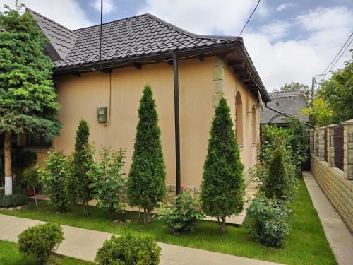 Сад в Casa Crinei