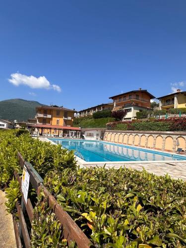 a swimming pool with some bushes and some buildings at Heike in Tignale