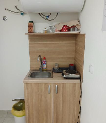 a small kitchen with a sink in a room at Soba Ðorović 3 in Postenje