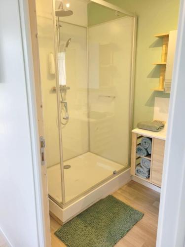 a glass shower in a bathroom with a green rug at Maison 'la grange' in Clion
